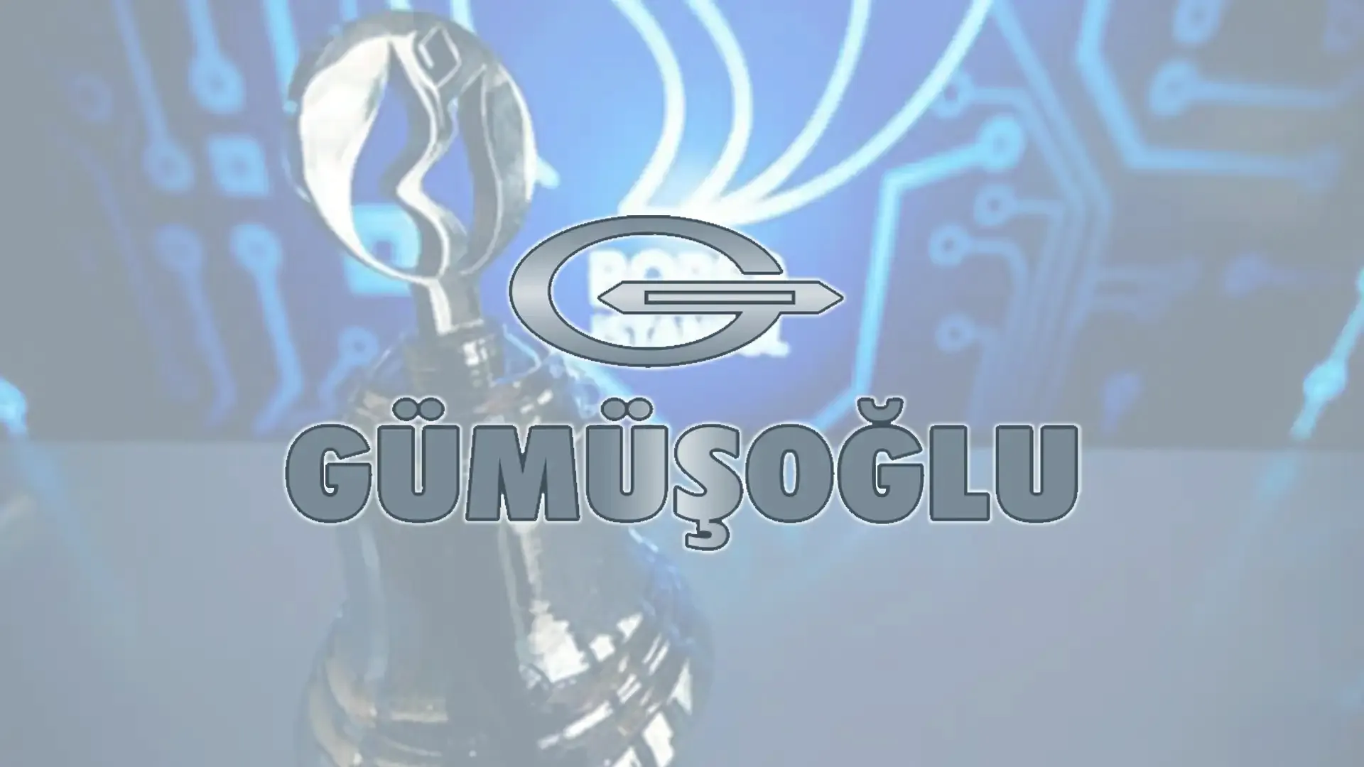 Leading Turkish Carpet Exporter Gümüşoğlu Tekstil Prepares for IPO