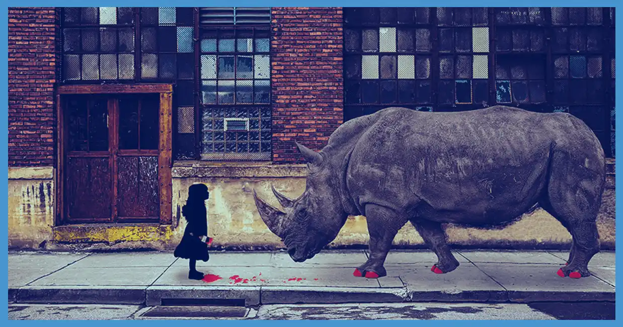 Gri Gergedan (Gray Rhino) Riskleri: 2024'te İzlenmesi Gereken Kritik Noktalar